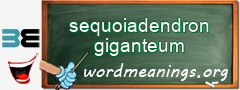 WordMeaning blackboard for sequoiadendron giganteum